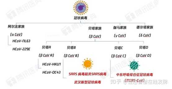 冠状病毒系一家人就要整整齐齐.   要说致病原理就得谈一下它的结构.