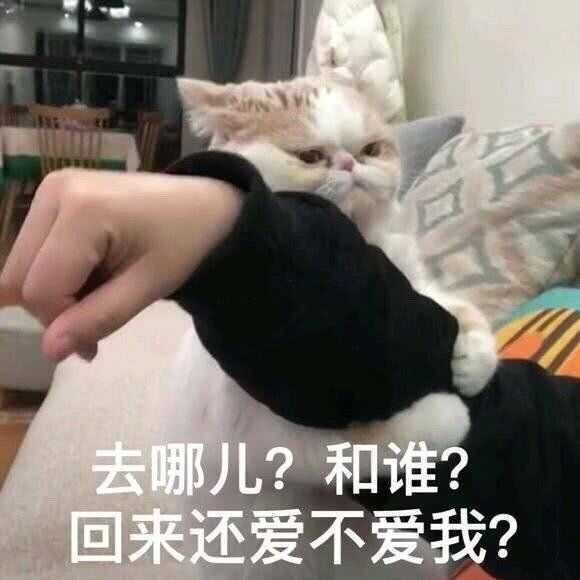 有哪些哄女朋友的表情包?