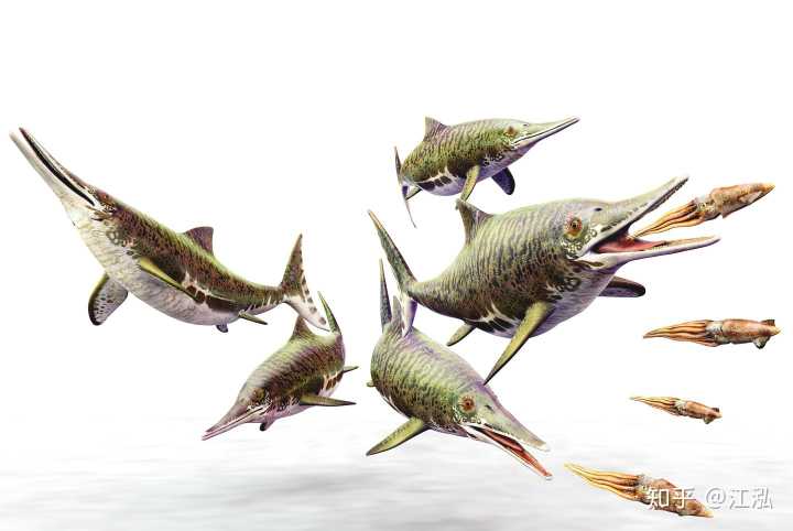 动物软组织能成化石吗