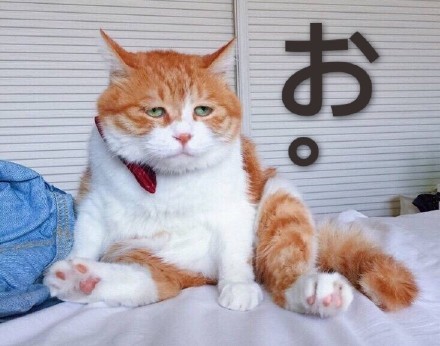 如何使脸部轮廓更清晰?