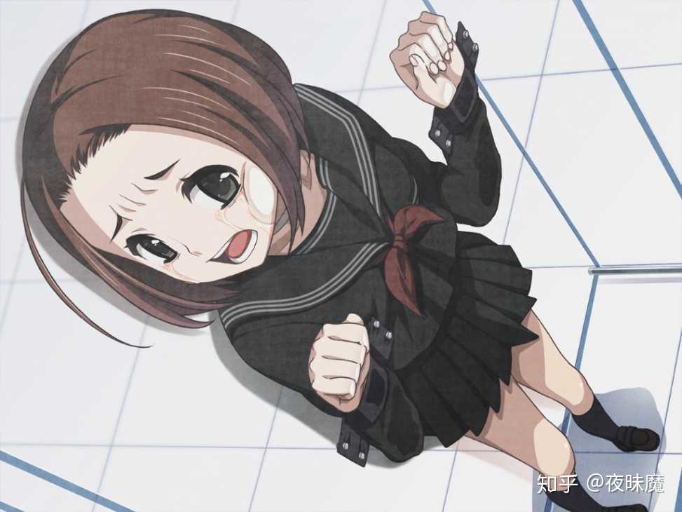 如何评价《乐园(euphoria)》 这部美少女游戏(gal)?