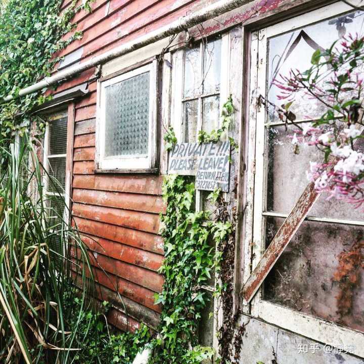 顾城的儿子小木耳现在怎样