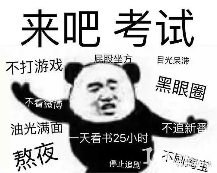 毛概表情包图片