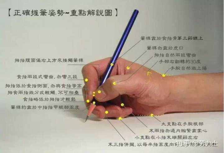 钢笔怎么握笔姿势图解图片