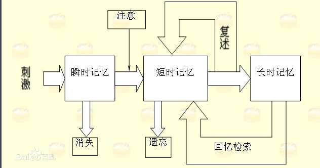 如何有效提高记忆力?
