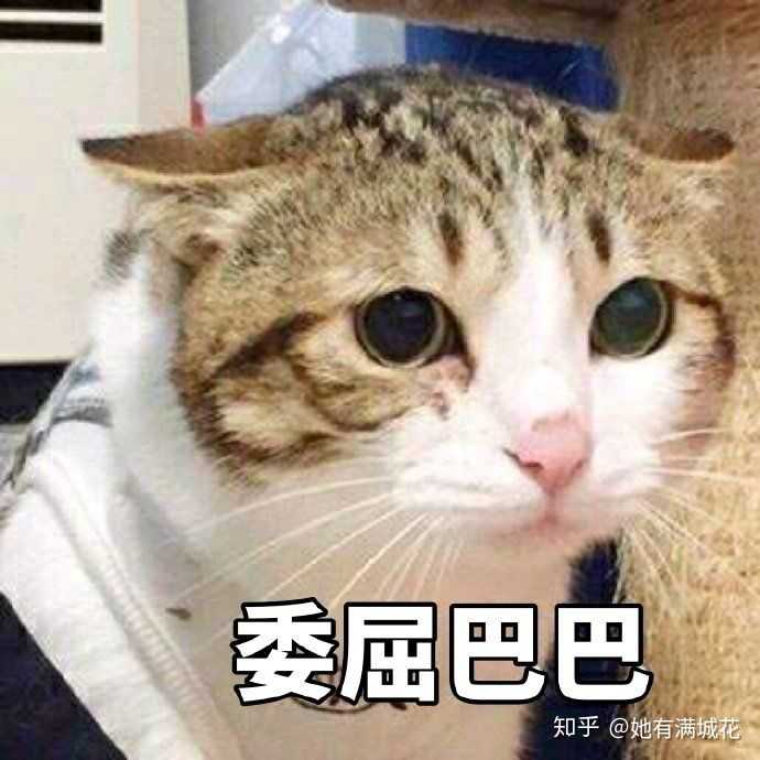 女生经历痔疮手术是怎样一种体验